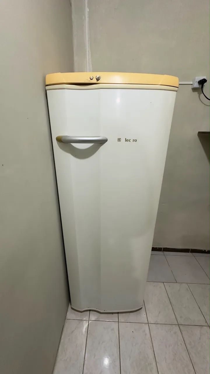 Geladeira Eletrolux 220