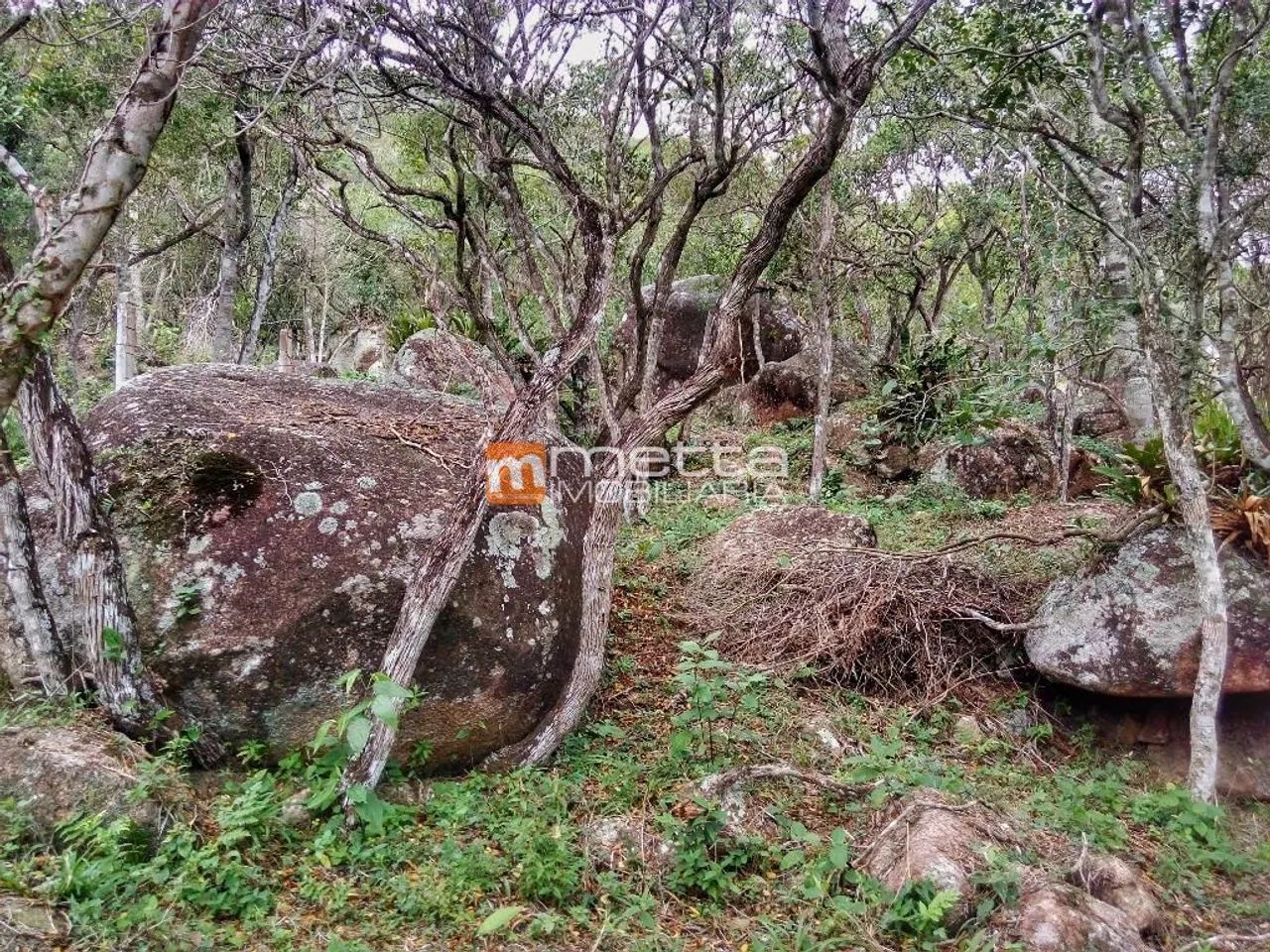 Terreno à venda, 2972 m² em Sambaqui - Florianópolis/SC - Foto 4