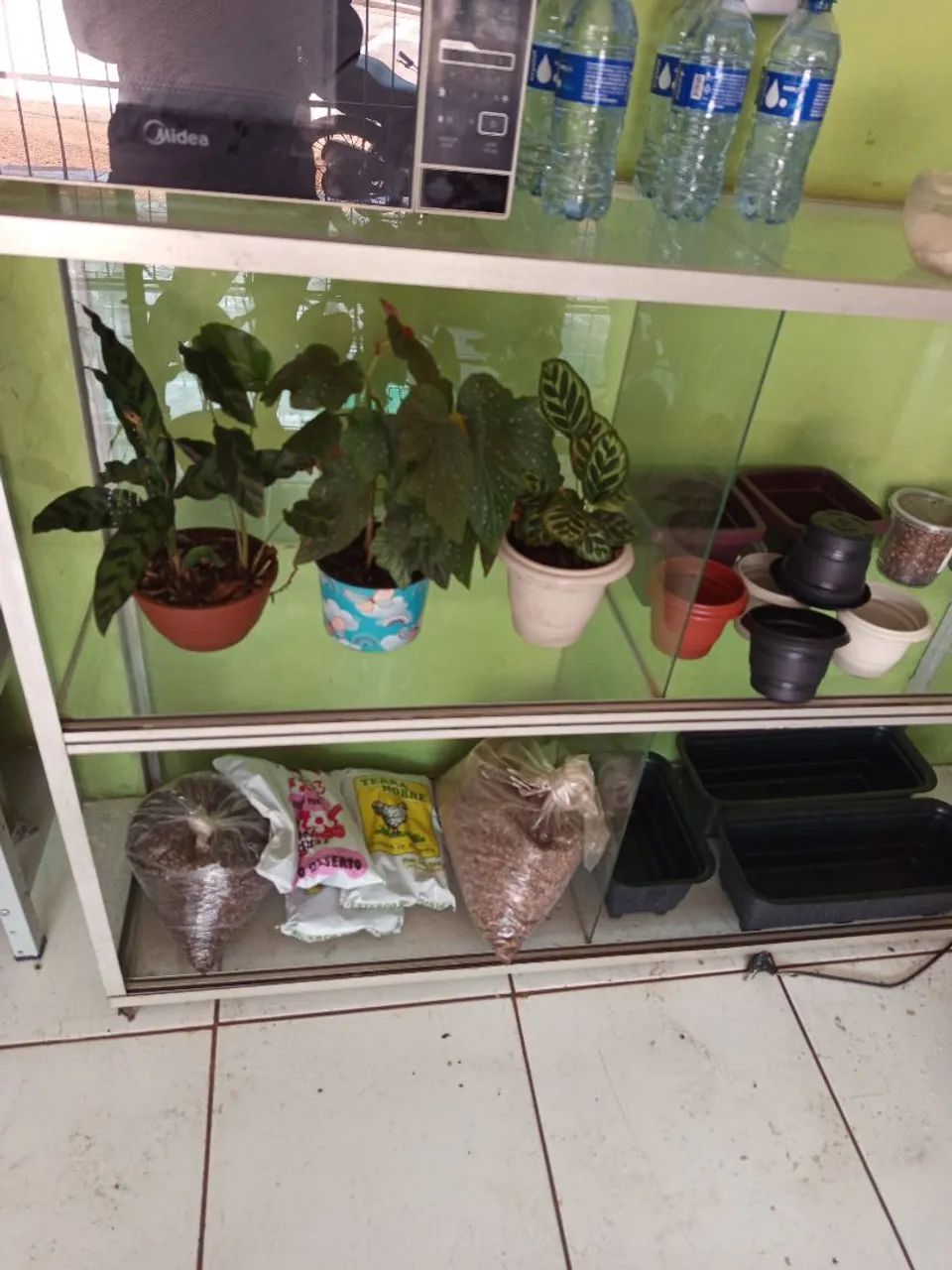 Bazar de plantas! - Foto 5