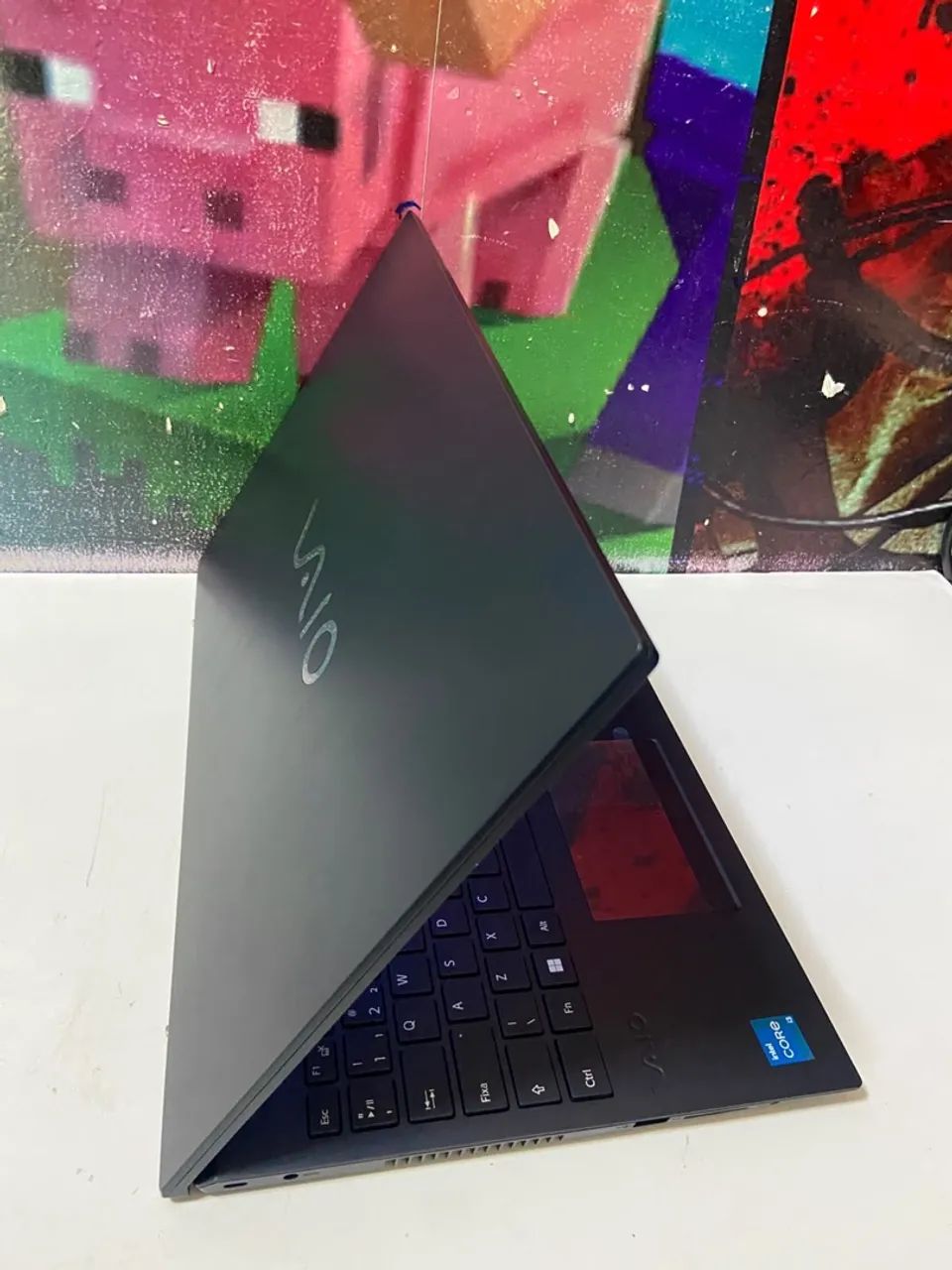 Notebook VAIO - Foto 4