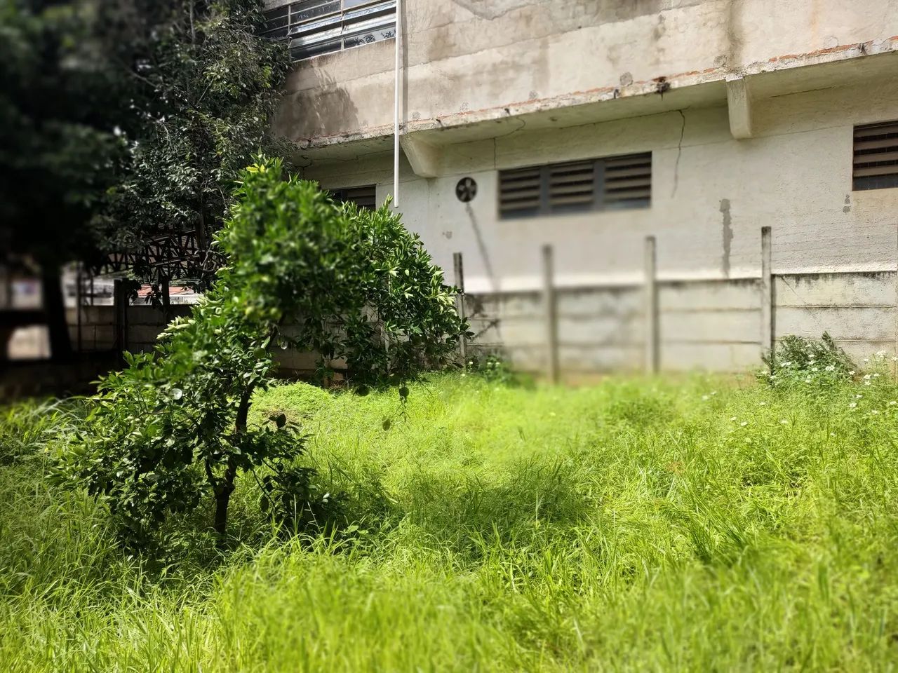 Vende-se terreno  - Foto 2