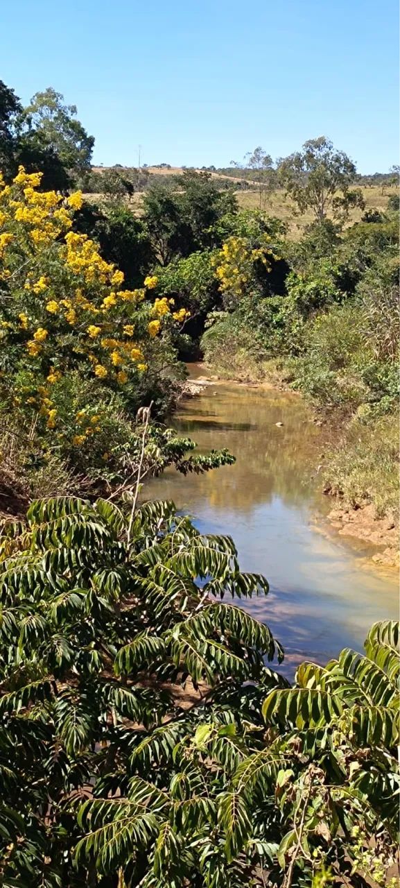 Chácaras no Girassol com terrenos  planos de 2500m² - Foto 2