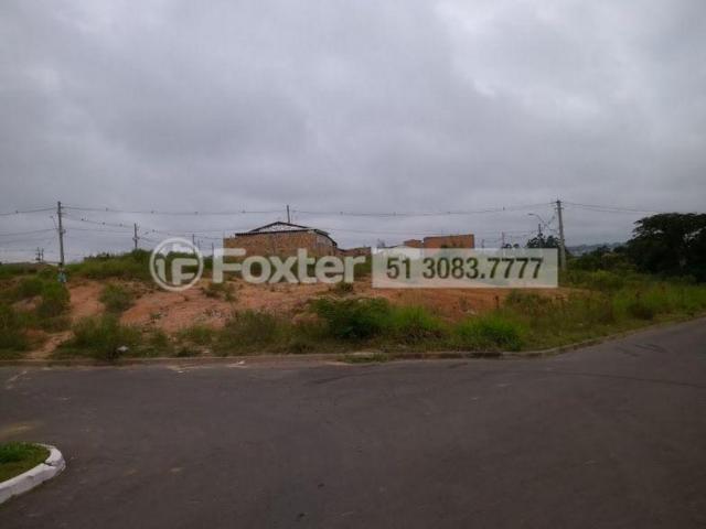Terreno à venda em Mário quintana, Porto alegre cod:170045 - Foto 11