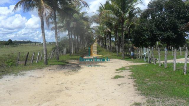 Fazenda em Eunápolis - Foto 4
