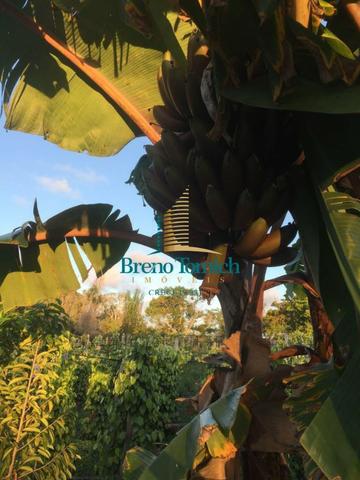 Fazenda em Belmonte-BA - Foto 9