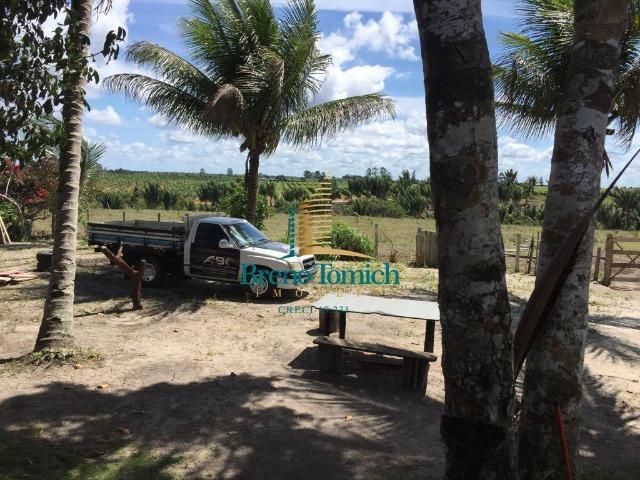 Fazenda em Belmonte-BA - Foto 7
