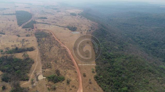 Fazenda 95 ha região chapada dos guimarães - Foto 13