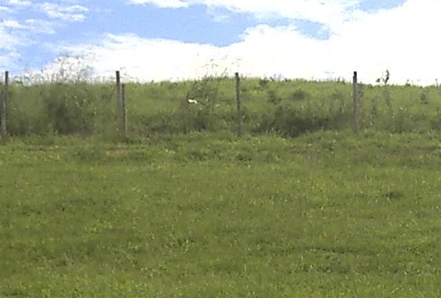 Lote para Venda em Iguaba Grande, Vila Nova - Foto 5