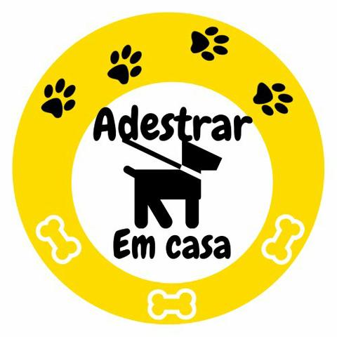 Guia de adestramento