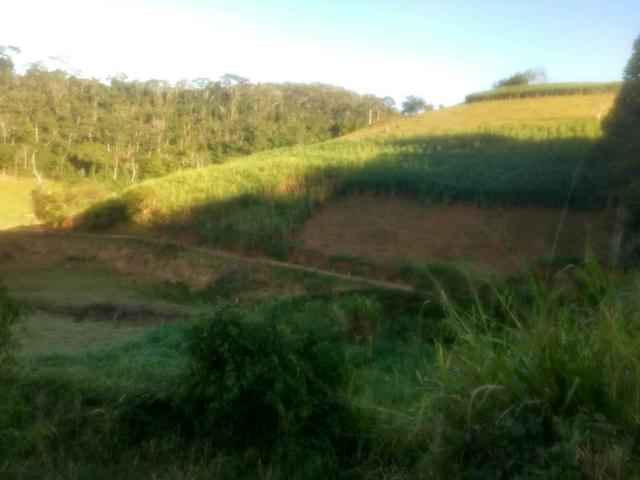 Vende-se Propriedade - Foto 8