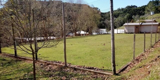 Chácara de Lazer / Sede Campestre - Foto 12