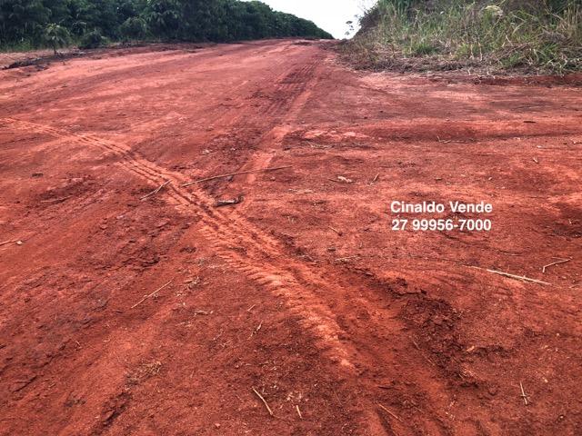 Fazenda com 35 alqueires (169,40 hectares) em São Mateus ES - Foto 8