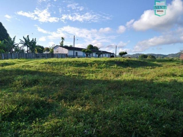 Fazenda plana, completa com 564 Hectares. Produção de Cacau e gado - Foto 4