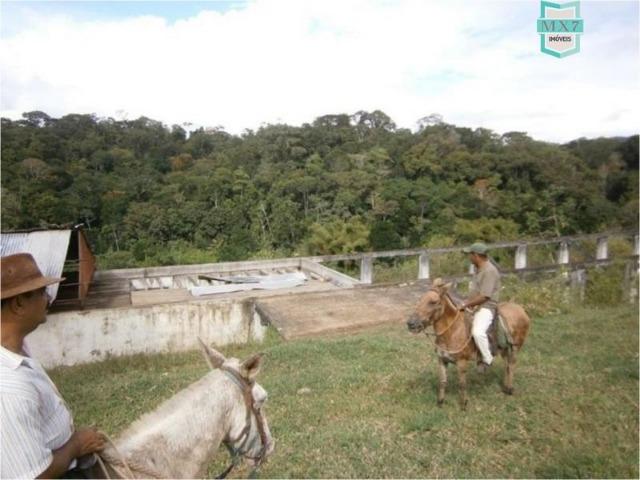 Fazenda na cidade de Ibirataia a 340 Km de Salvador e 320 Km de Camaçari - Foto 15