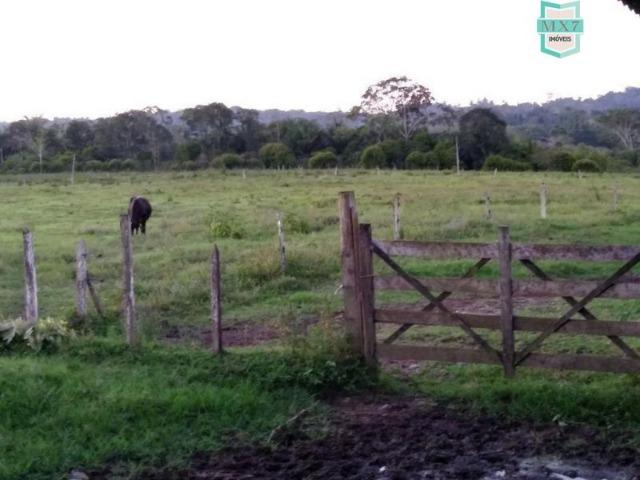 Fazenda plana, completa com 564 Hectares. Produção de Cacau e gado - Foto 12