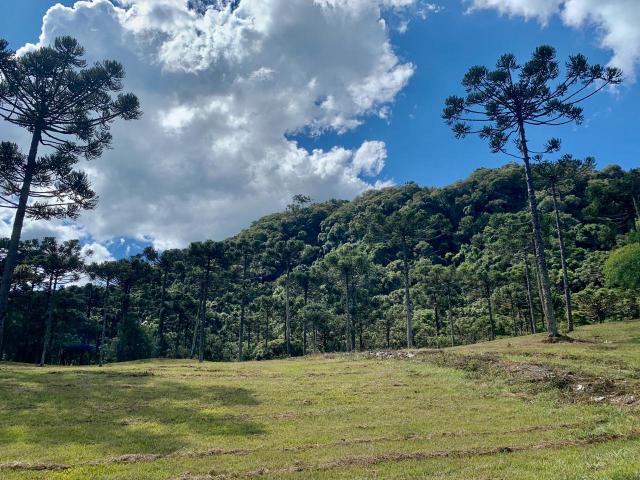 Chácara em Urubici/ terreno em Urubici/ Urubici - Foto 9