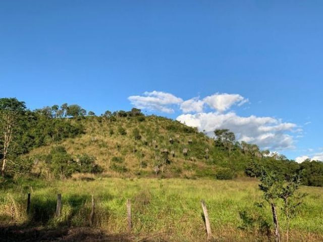 Vendo Fazenda 12 Alqueires, 55 Km de Palmas - Foto 7