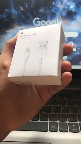 Cabo Apple Lightning Para Usb (2m)