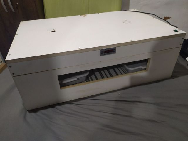 Chocadeira automática zagas - Foto 4