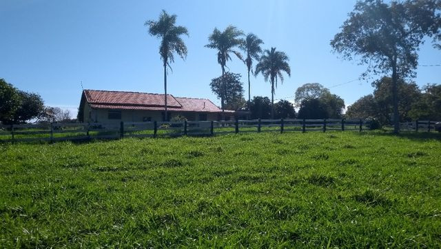 "Ótimo sítio 35 ha" - Sidrolândia MS, Brasil - Foto 13