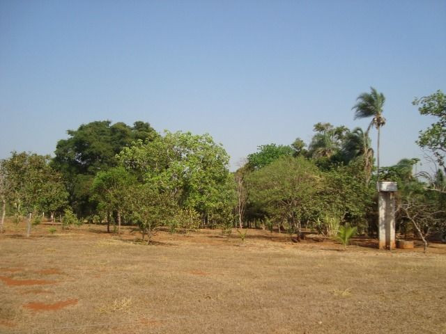Chácara Excelente 2,5 Alqueires, Próximo à Rozelandia-Bela Vista de Goiás - Foto 2