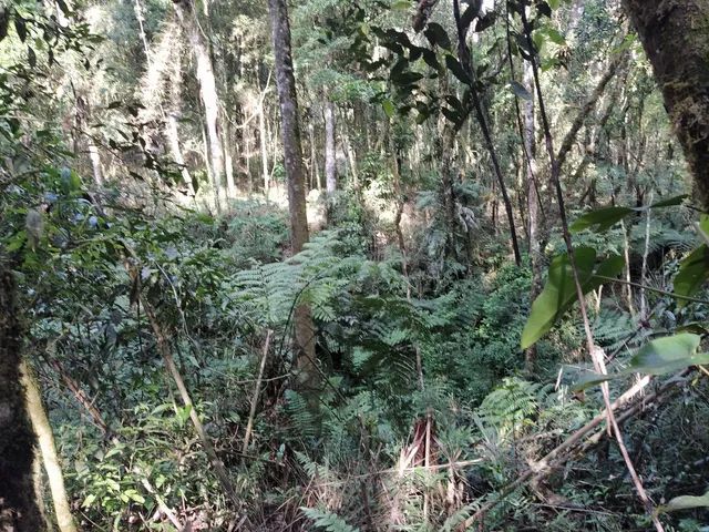 Sitio são Pedro  - Foto 5