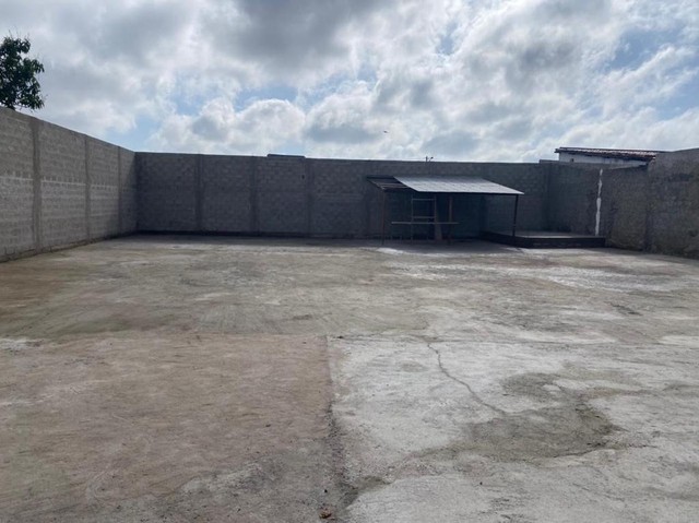 Galpão pra alugar próximo a fraga Maia  - Foto 3