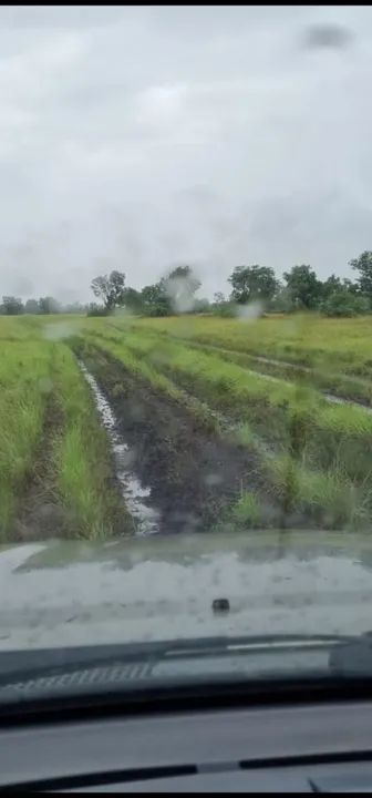 Fazenda com 3.000 hect 75% aberta em porto alegre do norte MT. 7 milhoes - Foto 3
