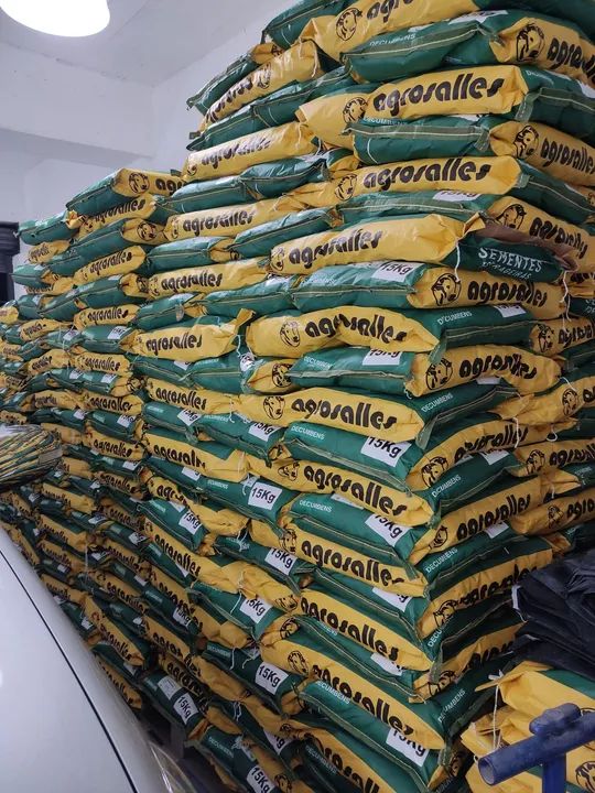 Sementes de braquiária 