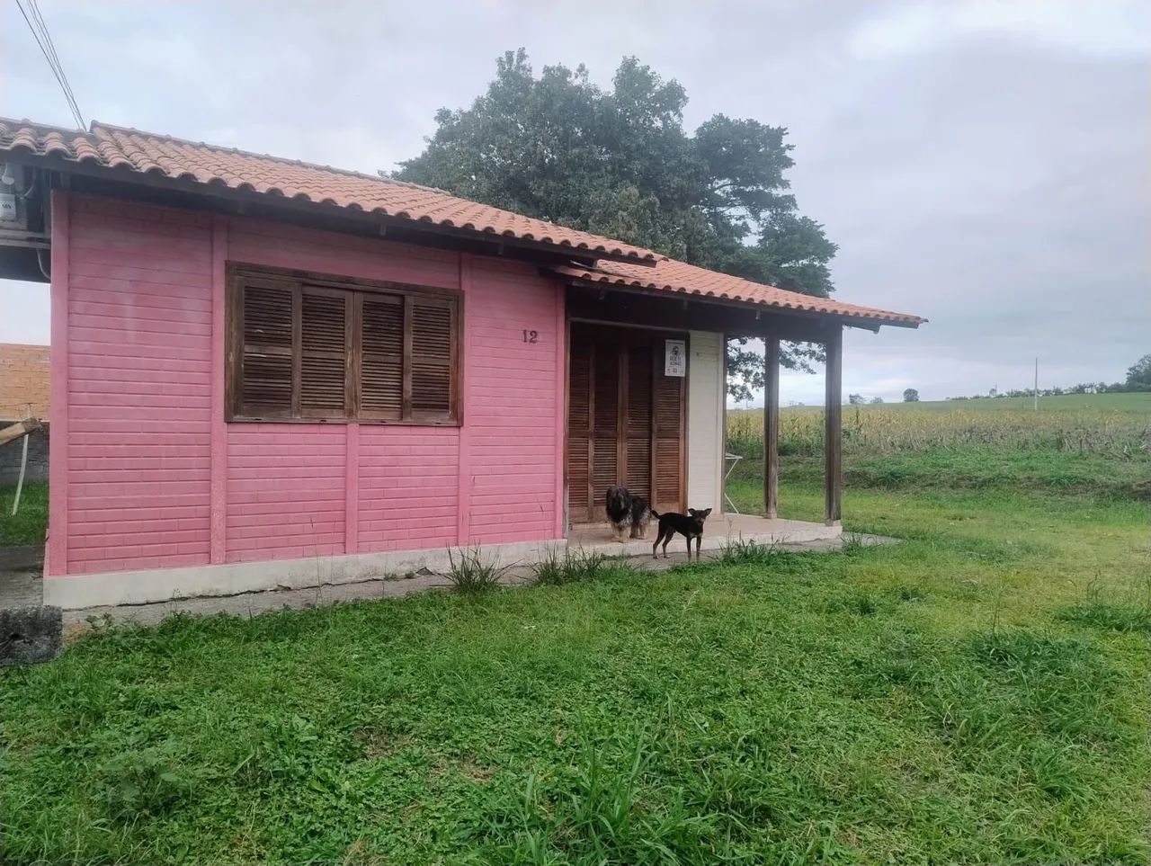 foto - Criciúma - Linha Anta