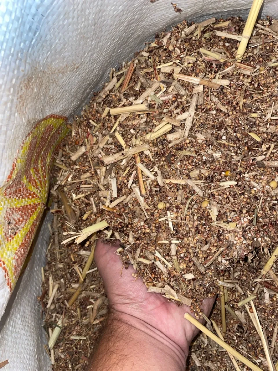 Resíduo de Sorgo