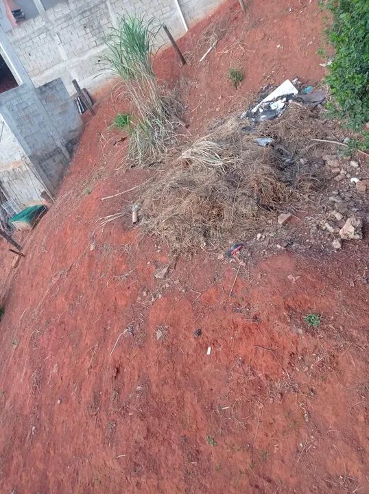 Terreno com área verde em ótima localização - Foto 2