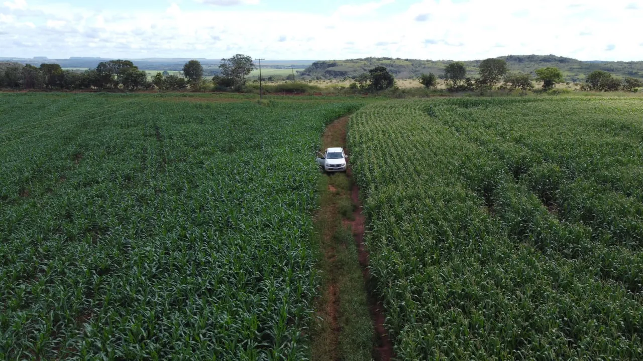 Fazenda 1.600 hec em Tesouro MT. 380 abertos, 300 com licença pra abrir