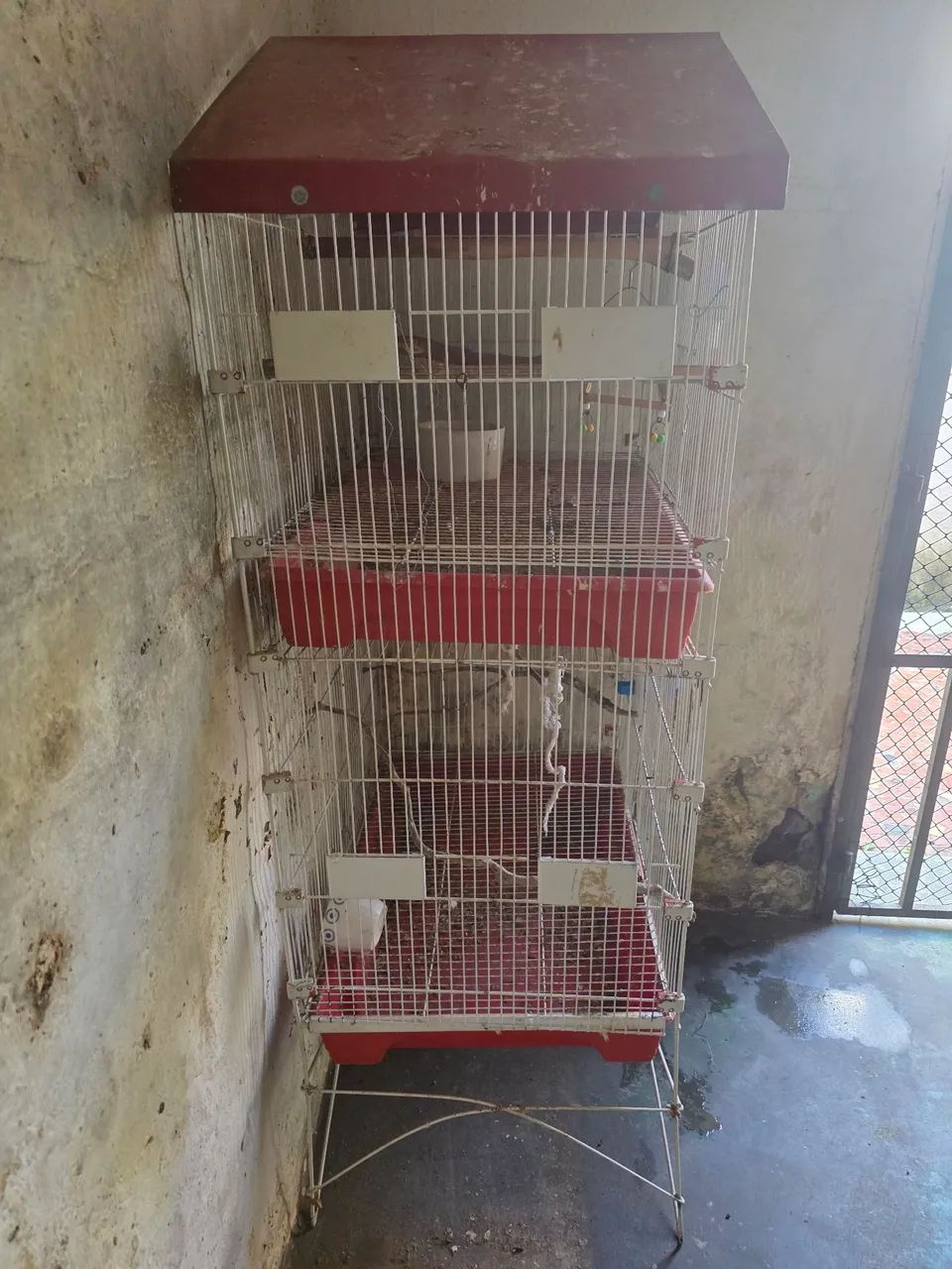 Viveiro Grande Duplo - Foto 3