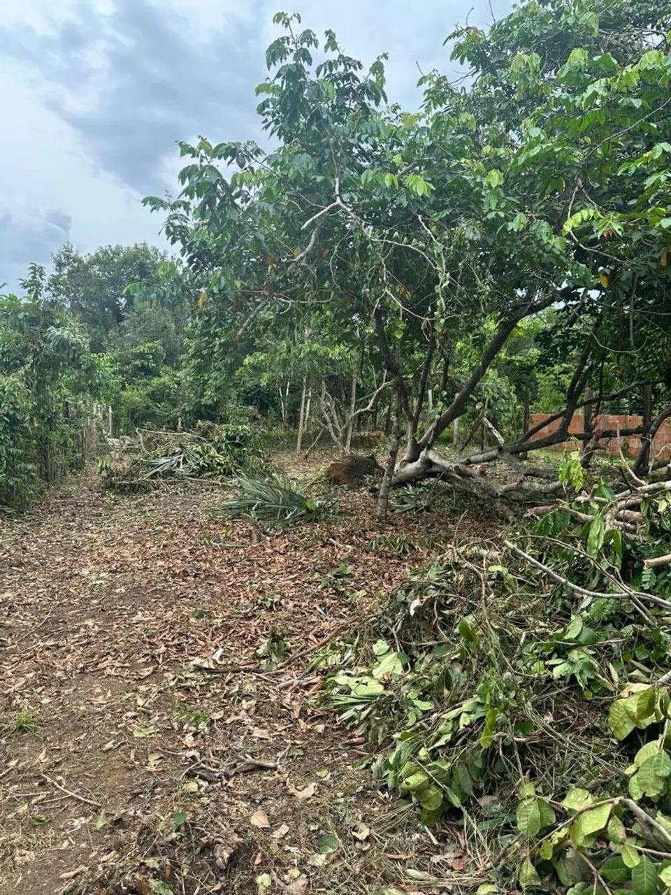 Troco esse sítio por casa  - Foto 4