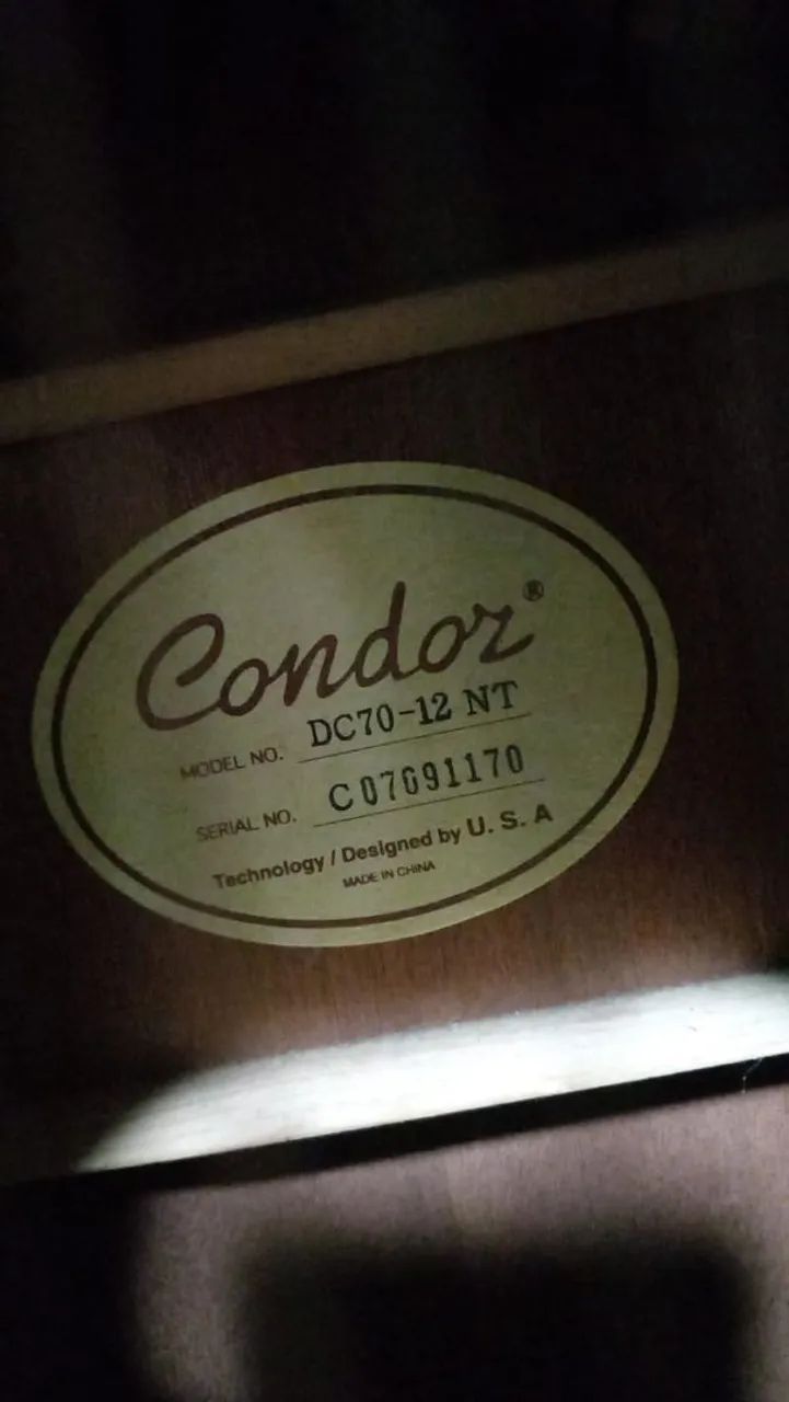 Violao 12 cordas 