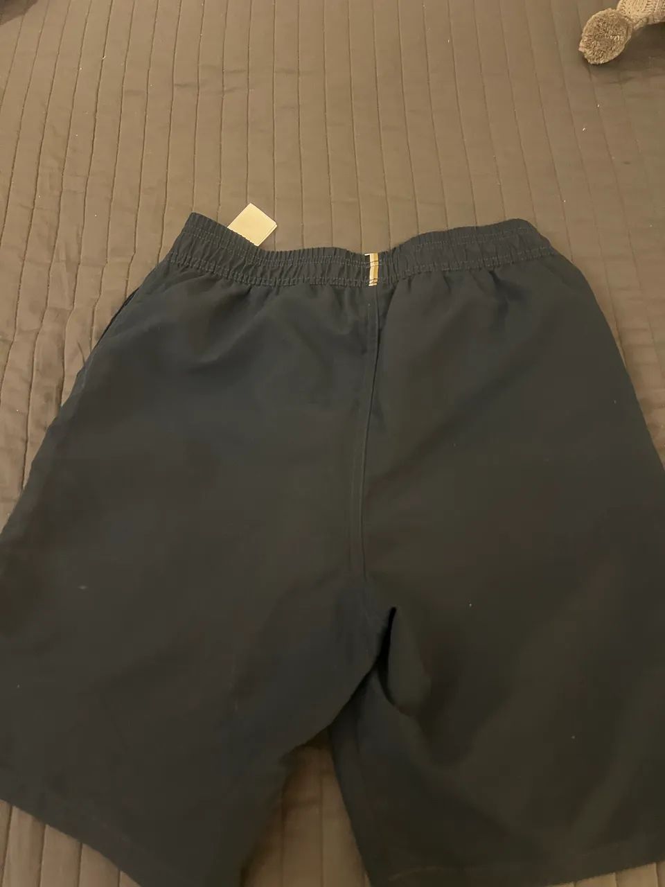 Bermuda boss64293282019714121