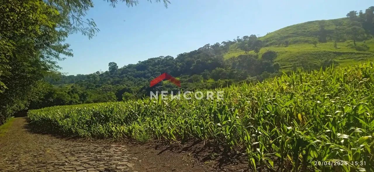 Chácara em estrada sem n° - Linha Sol e Ouro - Medianeira/PR - Foto 5