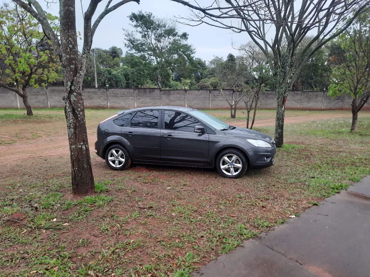 Ford Focus  completo