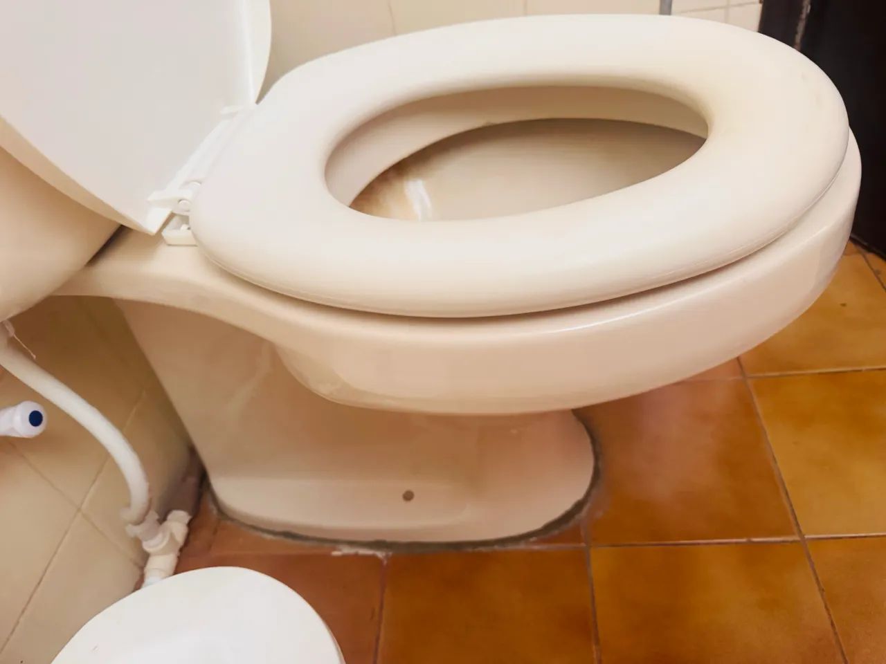 Vado sanitário completo 64640214874371121