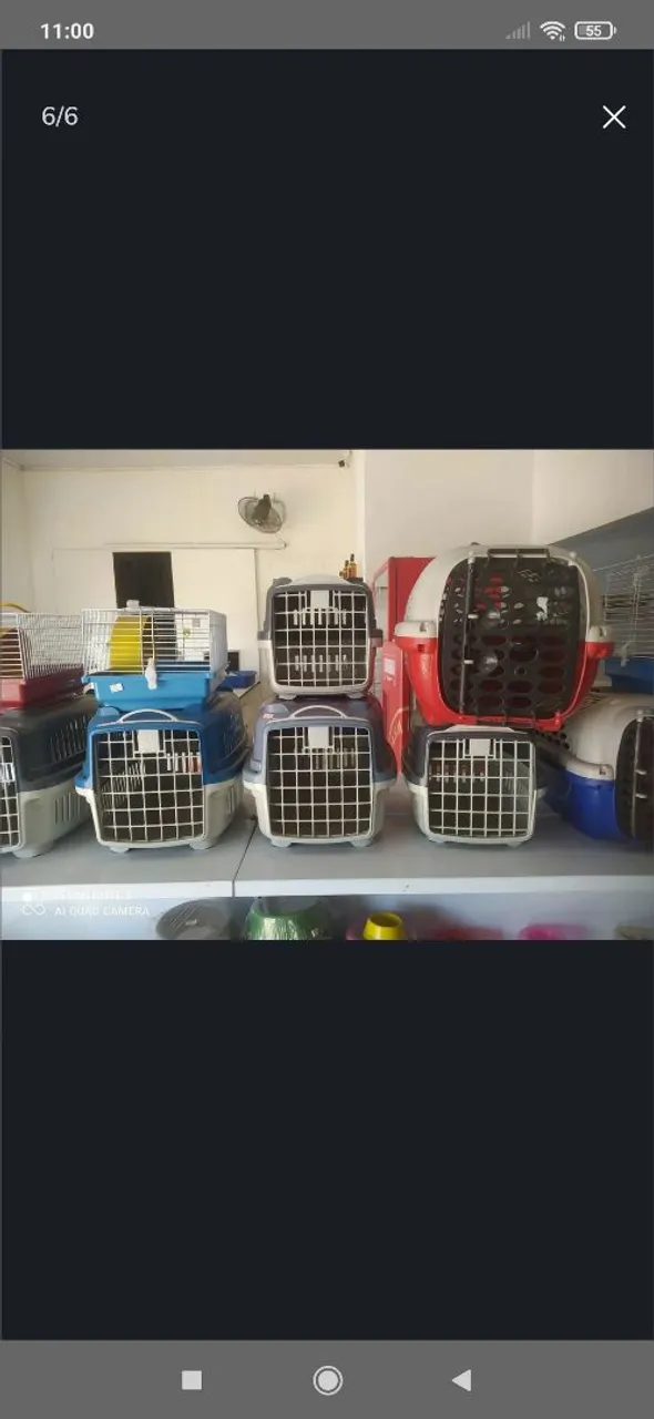 Transportadoras para animais