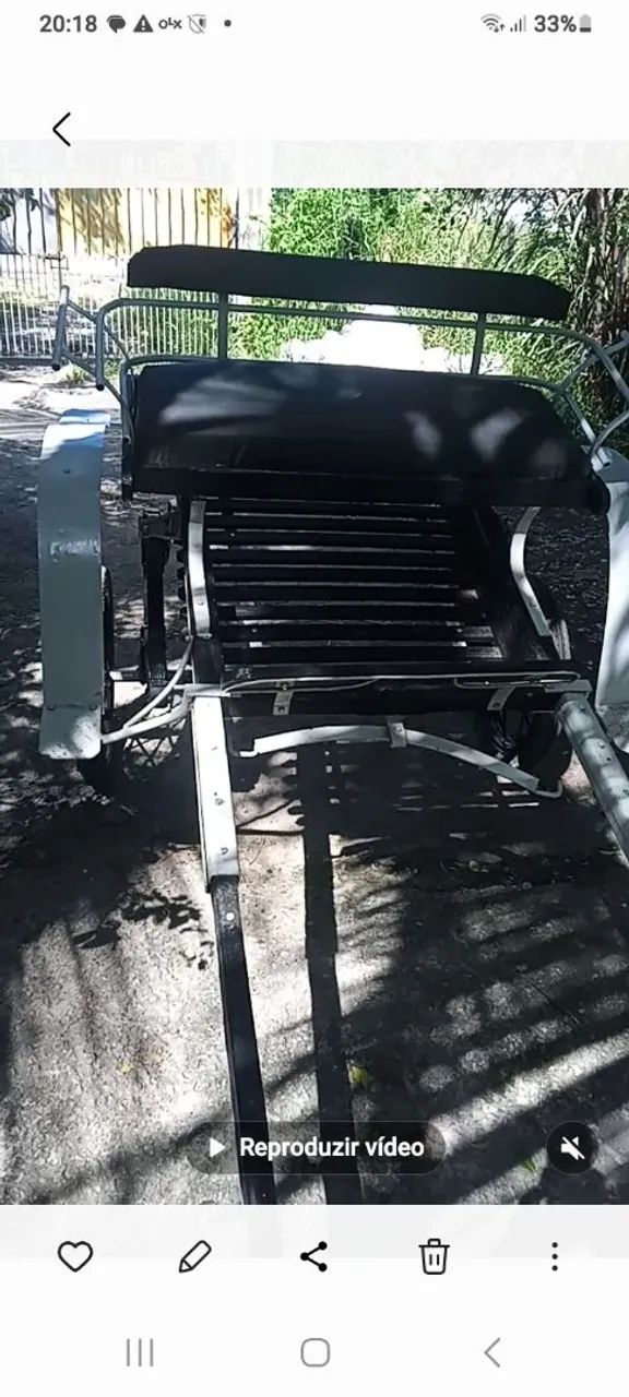 Charrete nova 2800 - Foto 2