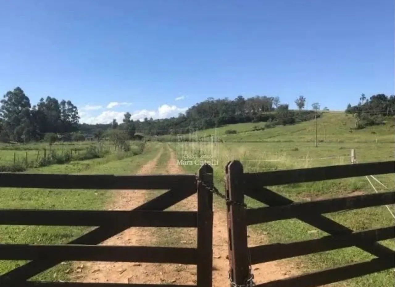 Crédito rural no boleto bancário  - Foto 3