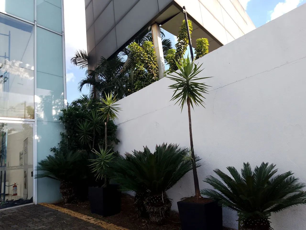 Pintura de piso, pintura de apartamento, massa corrida  - Foto 4