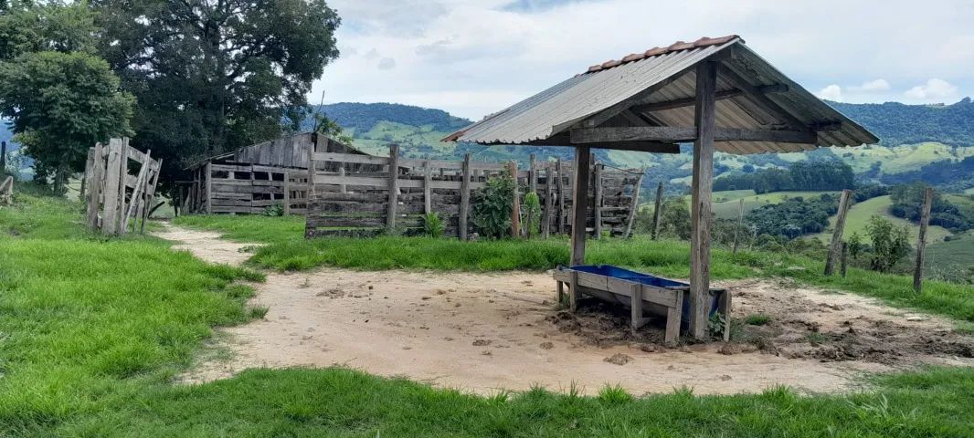 Sitio de 8 Alqueire em MG - Foto 3