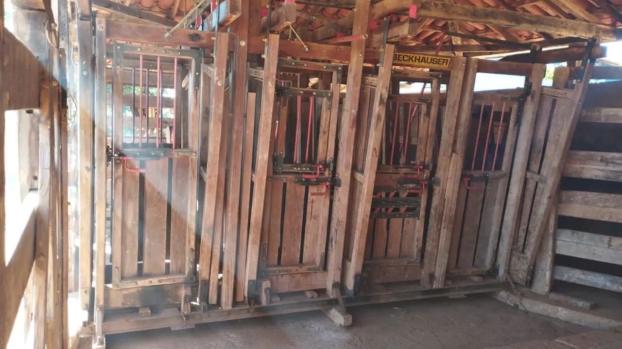 Fazenda 339 Hectares/2 Rios,Toda cercada... - Foto 8