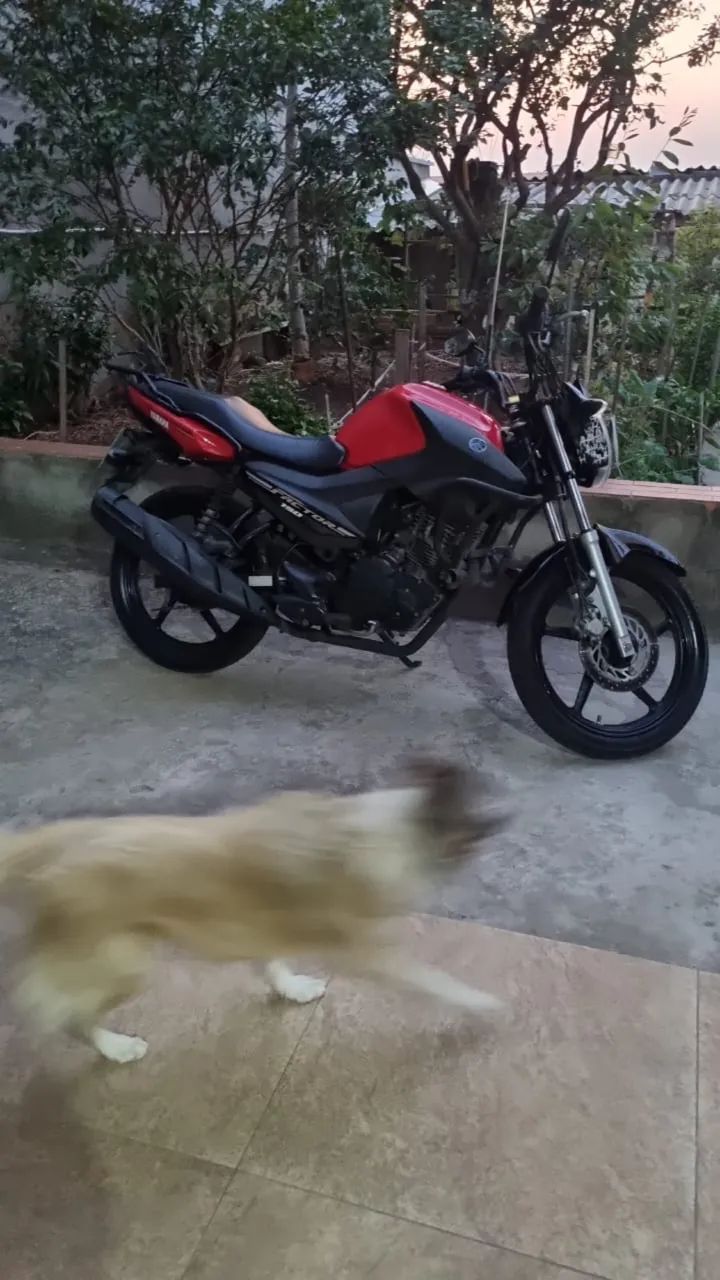 Yamaha Factor 19/20