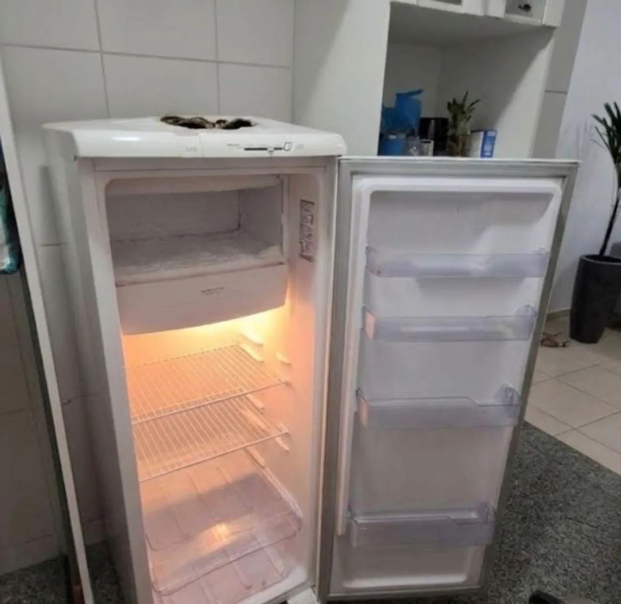 Geladeira eletrolux - Foto 2
