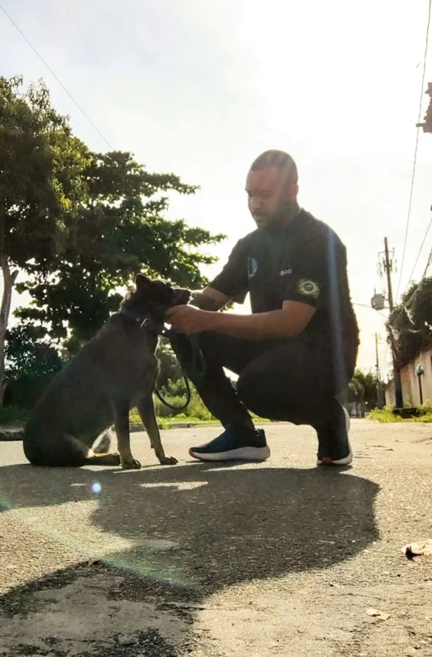 Adestramento canino  - Foto 3