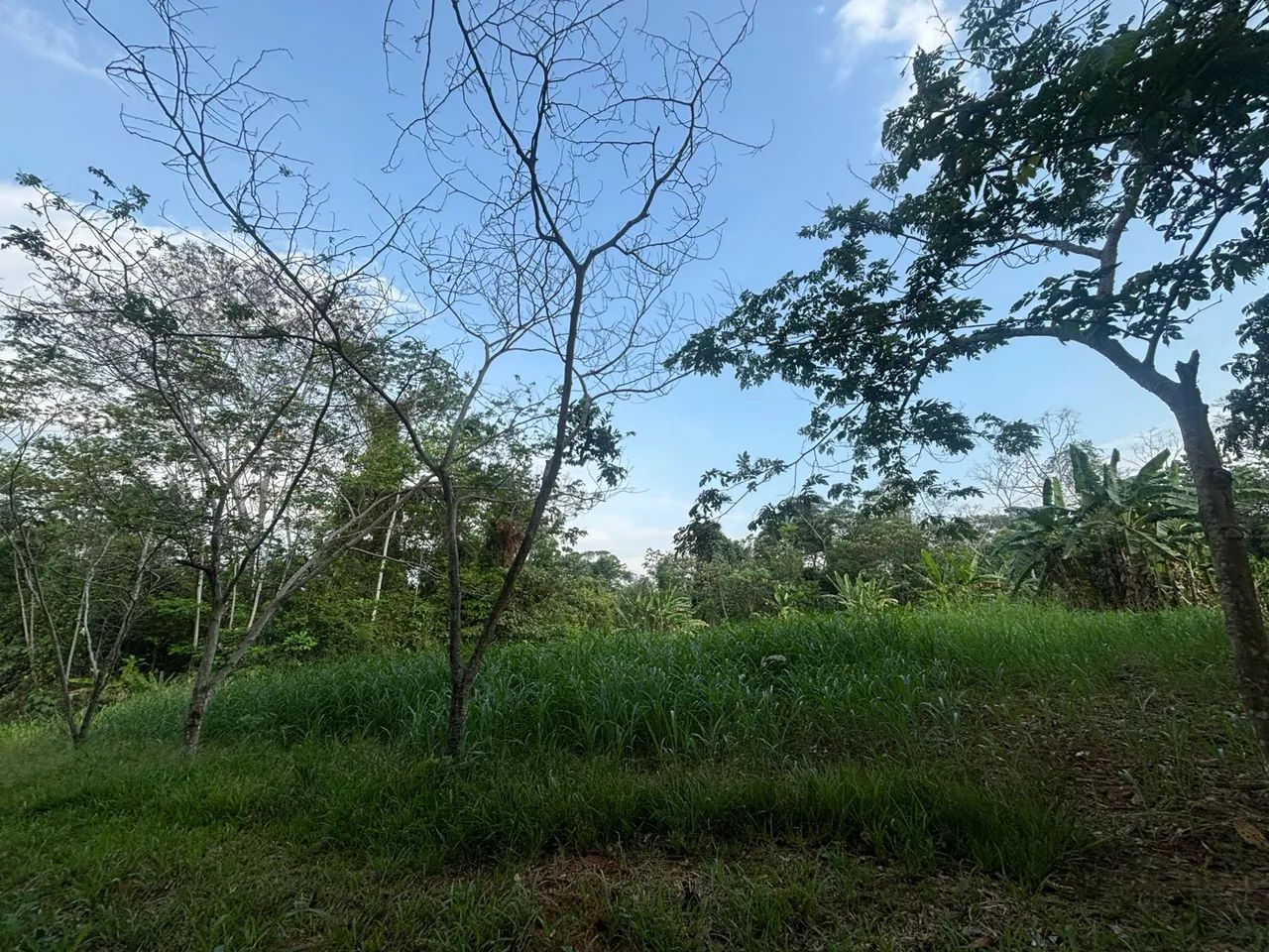 Ótima oportunidade de negócio  - Foto 2